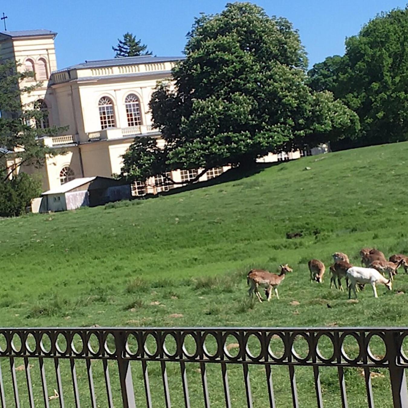 Ferienwohnung "Am Fechtertor- Eingang Zum Schlosspark" بوتبوس المظهر الخارجي الصورة